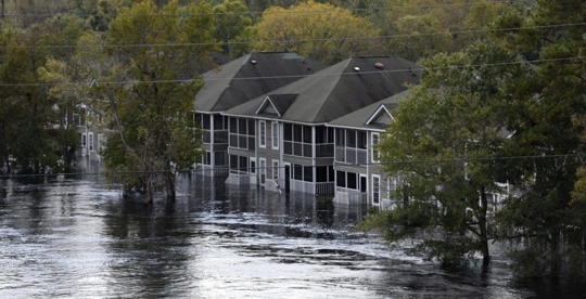 flooded townhomes and trees